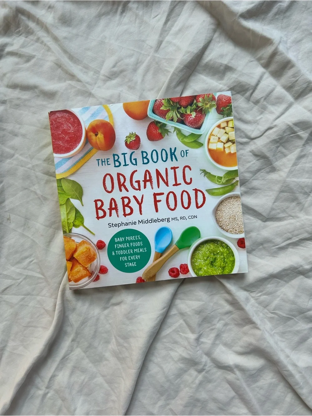 The Big Book of Organic Baby Food
